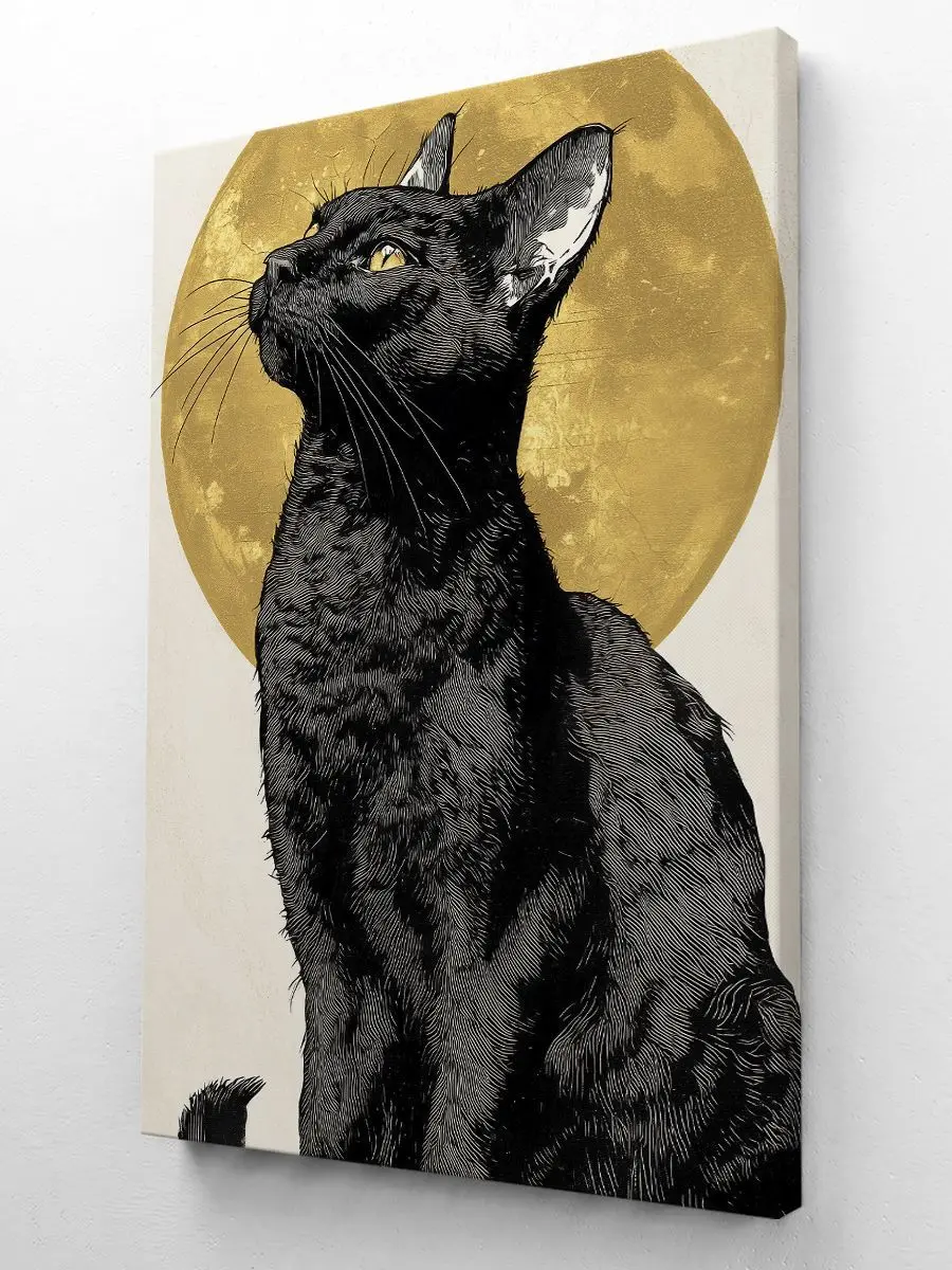 Чёрный кот