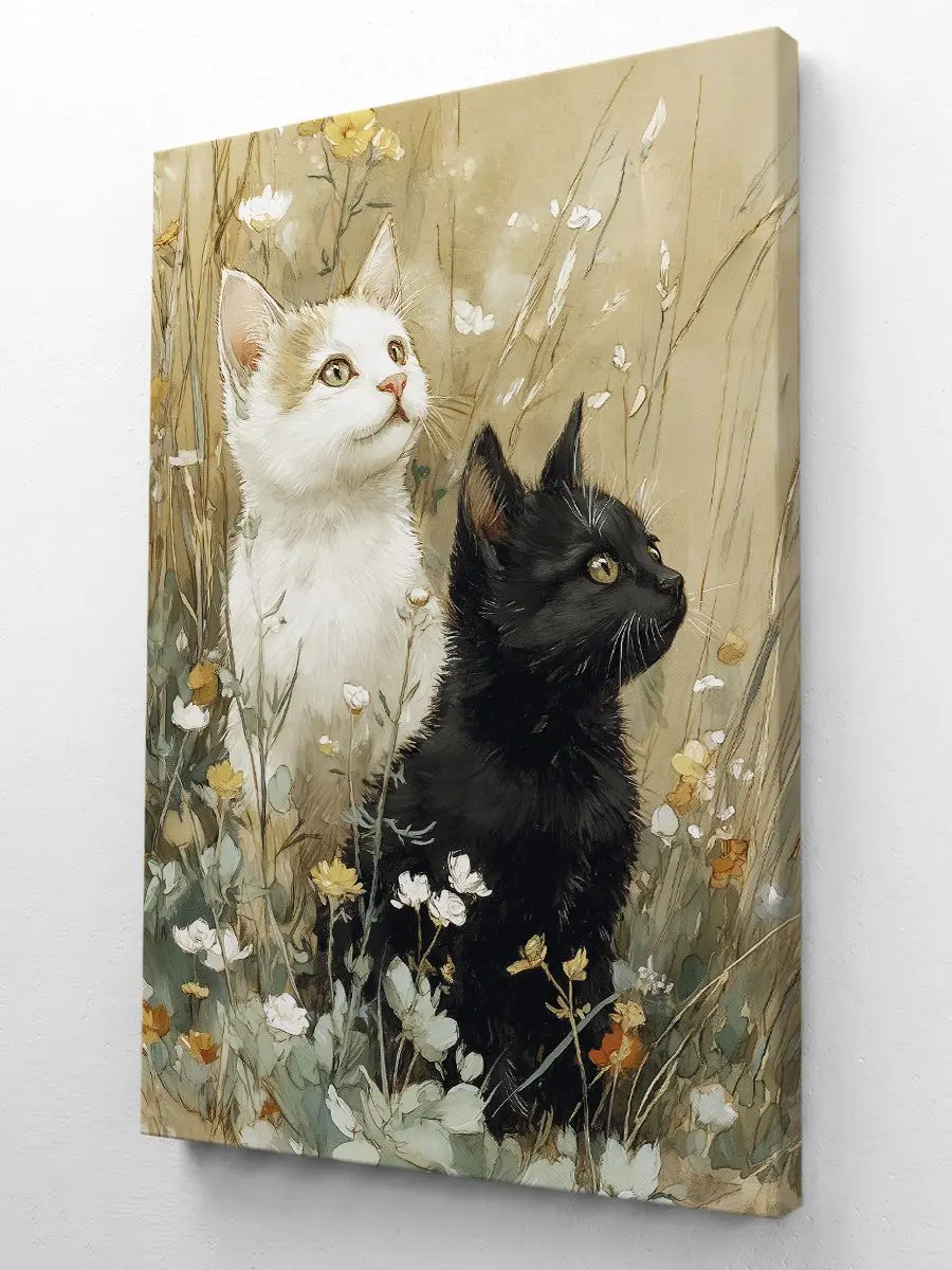 Чёрный и белый кот