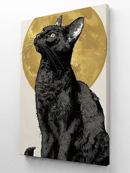 Чёрный кот