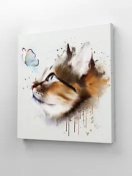 Кот и бабочка